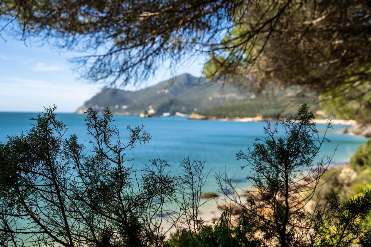 Arrabida Cozy House Villa Palmela Dış mekan fotoğraf