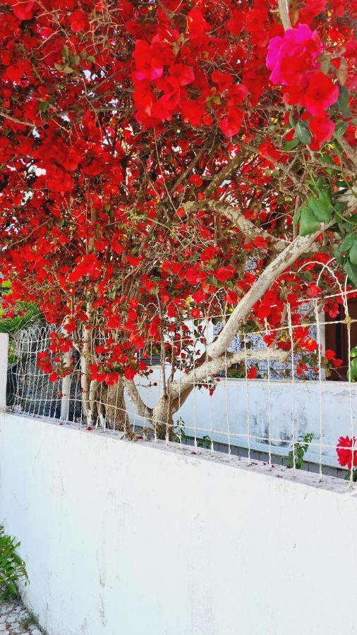 Arrabida Cozy House Villa Palmela Dış mekan fotoğraf